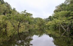 Brazília második forduló előtt: utolsó esély az Amazonas számára?