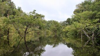 Brazília második forduló előtt: utolsó esély az Amazonas számára?