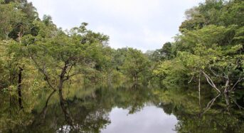 Brazília második forduló előtt: utolsó esély az Amazonas számára?