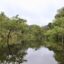 Brazília második forduló előtt: utolsó esély az Amazonas számára?